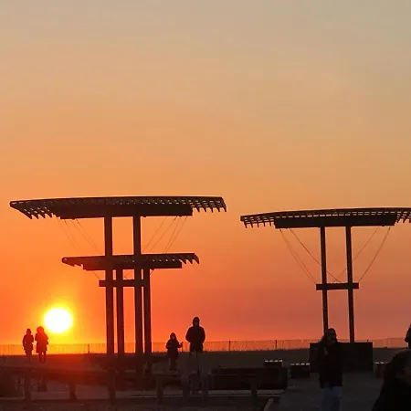 Opensee Figueira da Foz